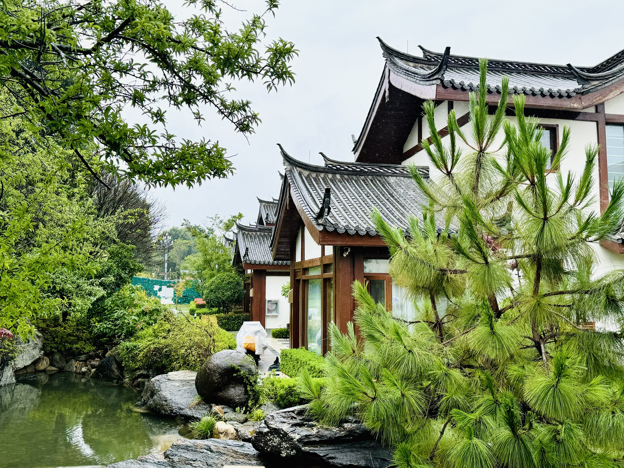 Ảnh Lệ Giang - Shangrila 