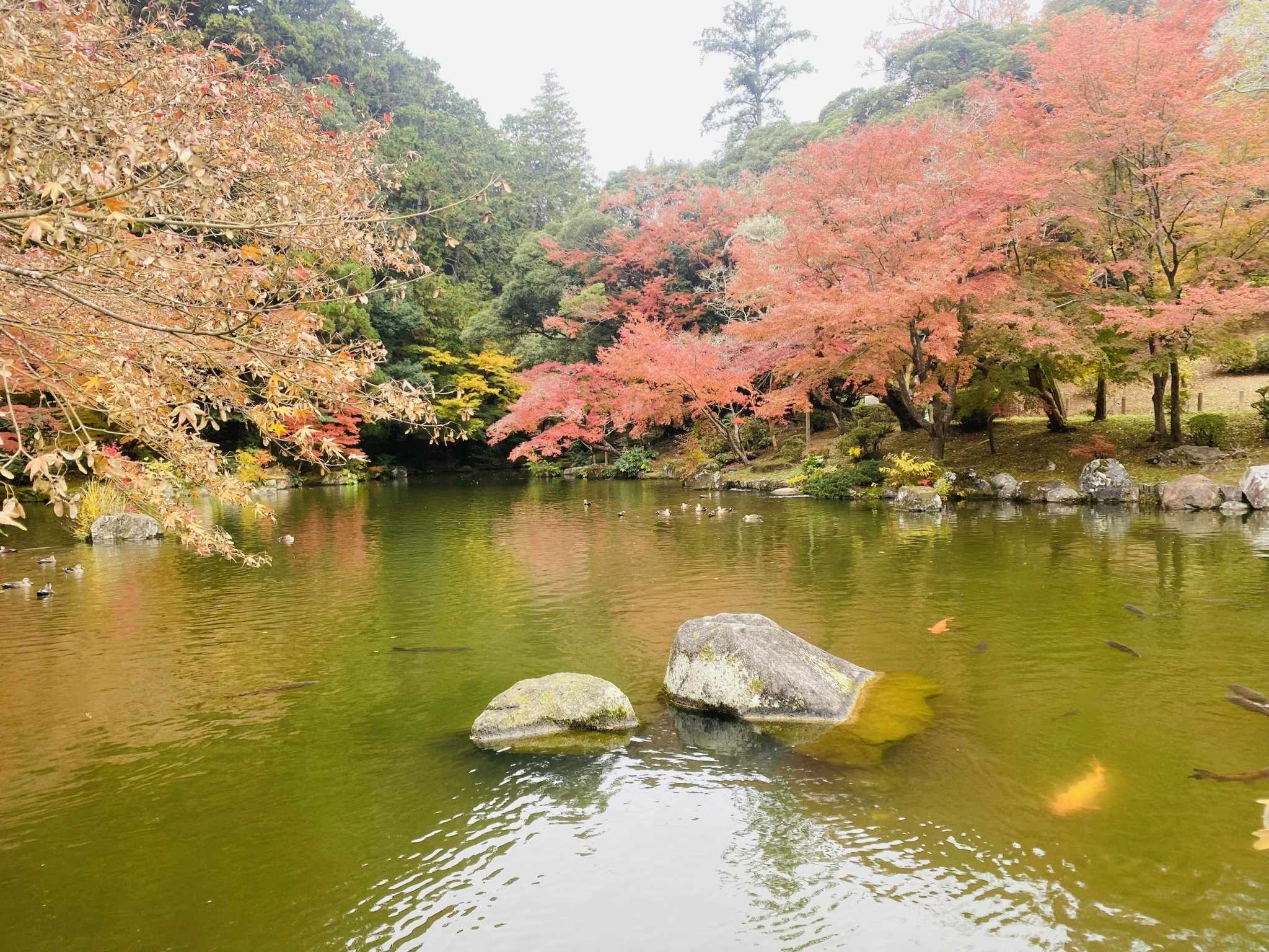 Ảnh đoàn Nhật Bản