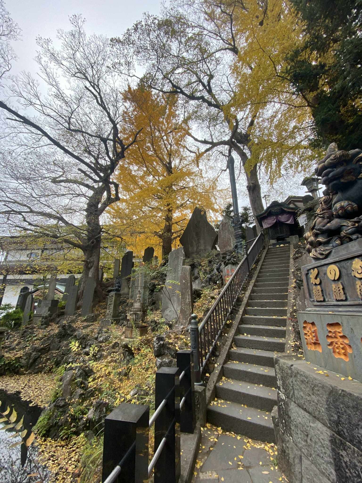 Ảnh đoàn Nhật Bản