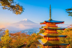 KHÁM PHÁ MÙA THU LÁ ĐỎ : HÀ NỘI – OSAKA – KOBE – KYOTO – NÚI PHÚ SĨ – TOKYO – HÀ NỘI (BAY THẲNG VIETNAM AIRLINES)