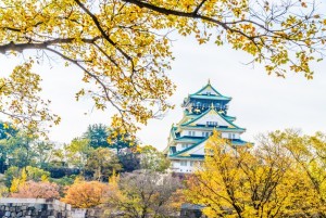 NHẬT BẢN - KHÁM PHÁ CUNG ĐƯỜNG VÀNG: OSAKA – KYOTO – NAGOYA – PHÚ SĨ  – TOKYO