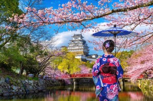 NGẮM HOA ANH ĐÀO NHẬT BẢN 2024:  NAGOYA-KYOTO- OSAKA – NARA- NÚI PHÚ SĨ-TOKYO
